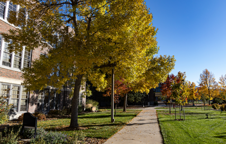 Black Hills State University campus