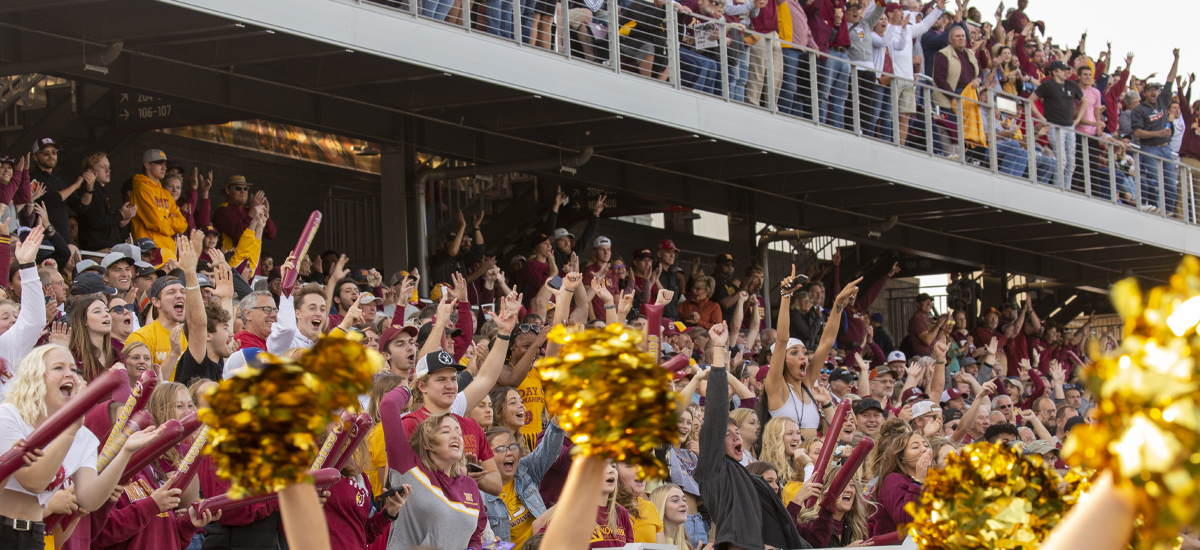 Cheering Crowd at NSU Football Game