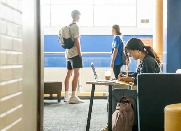 SDSU Student Studying